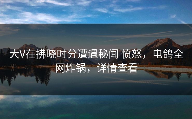 大V在拂晓时分遭遇秘闻 愤怒，电鸽全网炸锅，详情查看