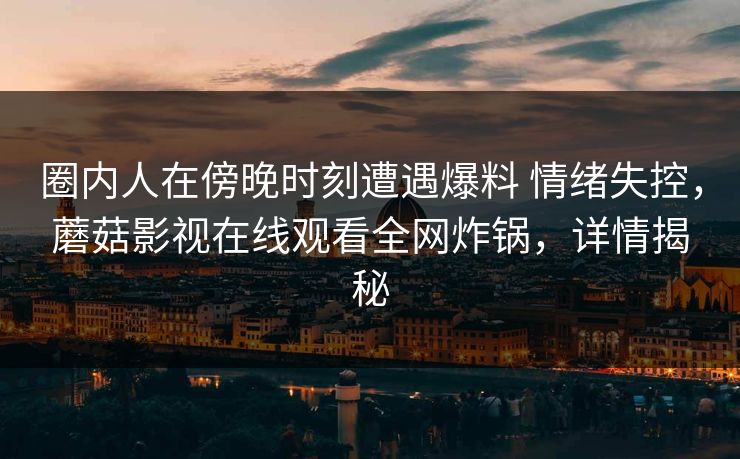 圈内人在傍晚时刻遭遇爆料 情绪失控，蘑菇影视在线观看全网炸锅，详情揭秘