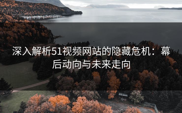 深入解析51视频网站的隐藏危机：幕后动向与未来走向