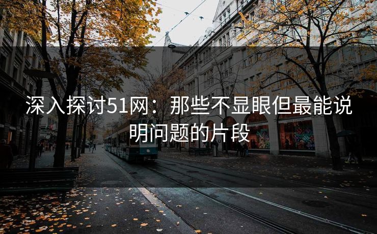 深入探讨51网：那些不显眼但最能说明问题的片段